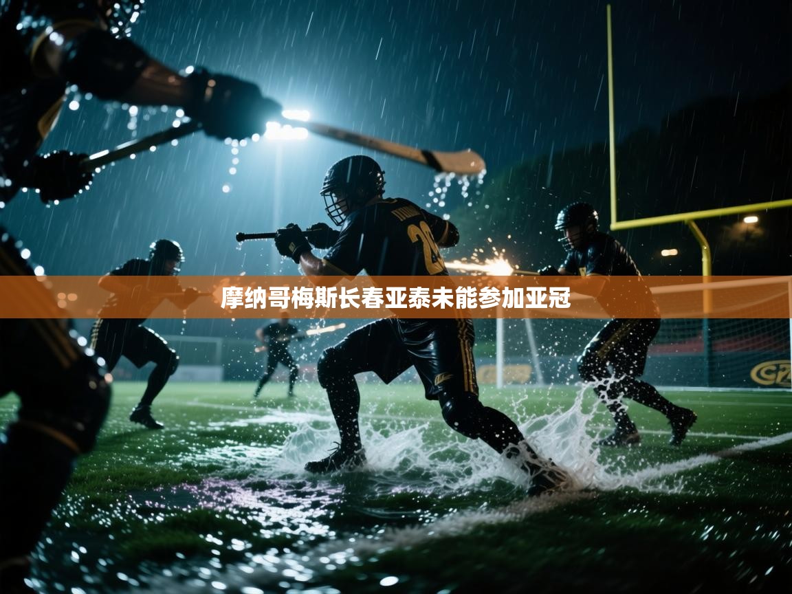 摩纳哥梅斯长春亚泰未能参加亚冠