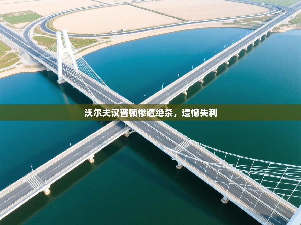 沃尔夫汉普顿惨遭绝杀，遗憾失利  第1张