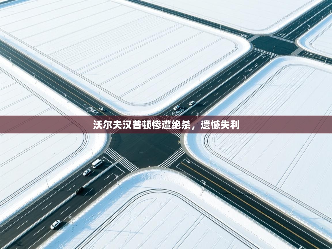 沃尔夫汉普顿惨遭绝杀，遗憾失利  第2张